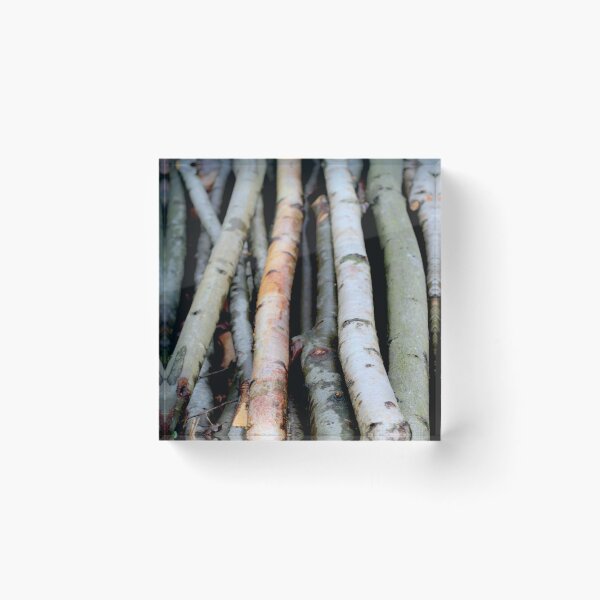 Item preview, Birch logs in a forest designed and sold by chihuahuashower.