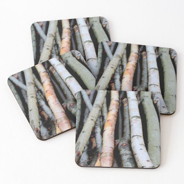 Item preview, Birch logs in a forest designed and sold by chihuahuashower.