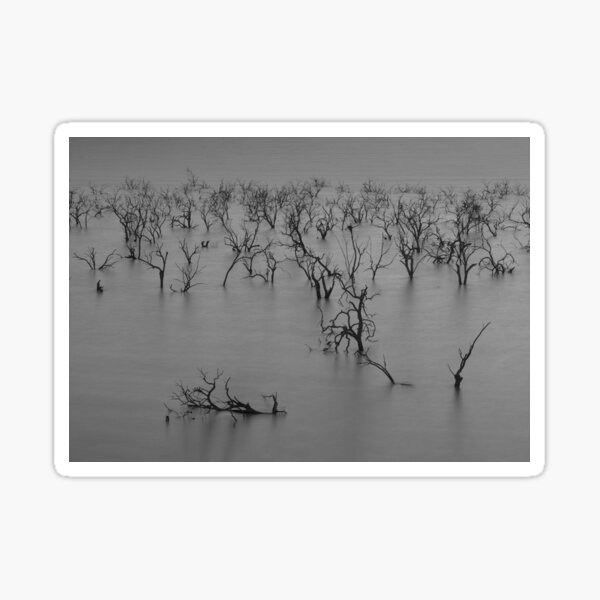 Aperçu de l'œuvre Abstrait lac minimaliste noir et blanc créée et vendue par NaturesPixels.