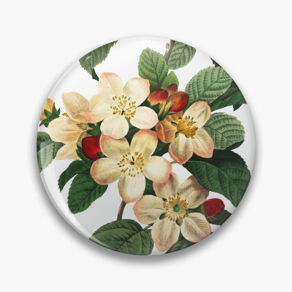 Item preview, Apple Blossom Flower Vintage Retro Art Botanical Illustration designed and sold by HumanlineImages.