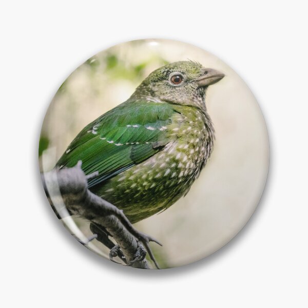 Item preview, Green Catbird  designed and sold by Jasmine Connors.