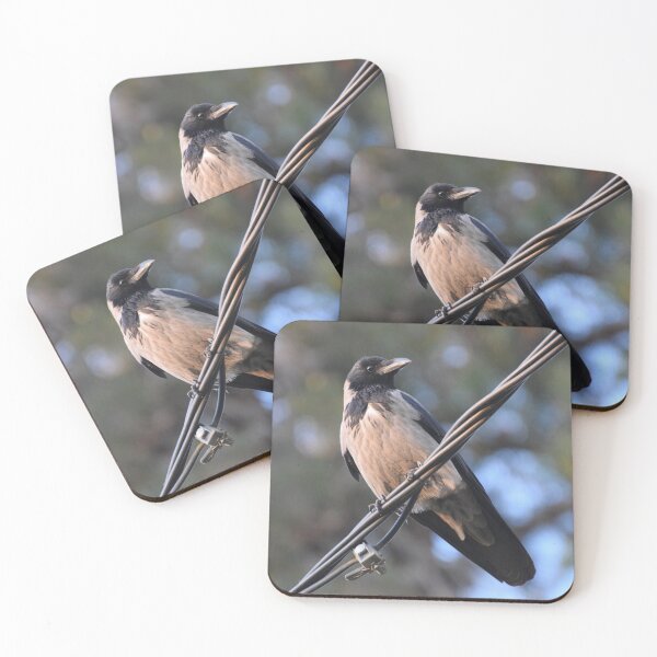 Item preview, Raven on a Wire designed and sold by DanaLauraPhoto.