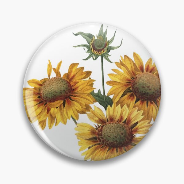 Item preview, Gaillardia or Blanket Flower Vintage Retro Art Botanical Illustration designed and sold by HumanlineImages.