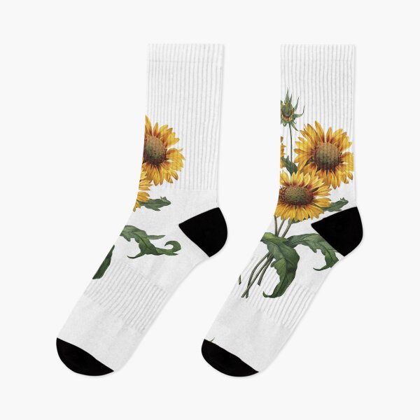 Item preview, Gaillardia or Blanket Flower Vintage Retro Art Botanical Illustration designed and sold by HumanlineImages.