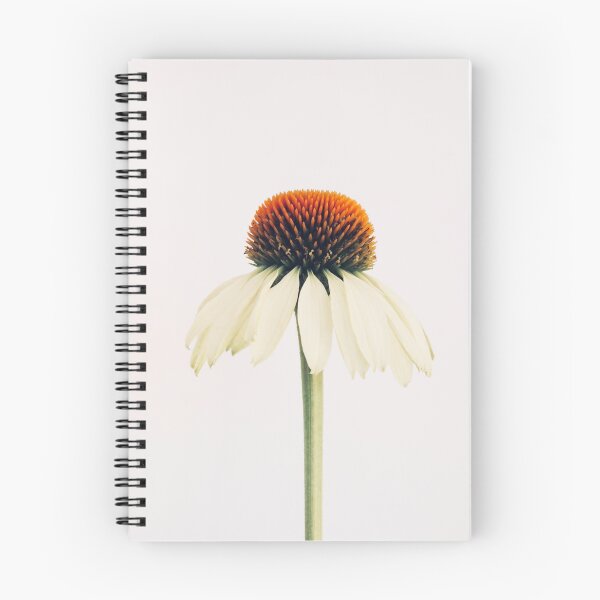 Item preview, Echinacea designed and sold by wallflowernz.