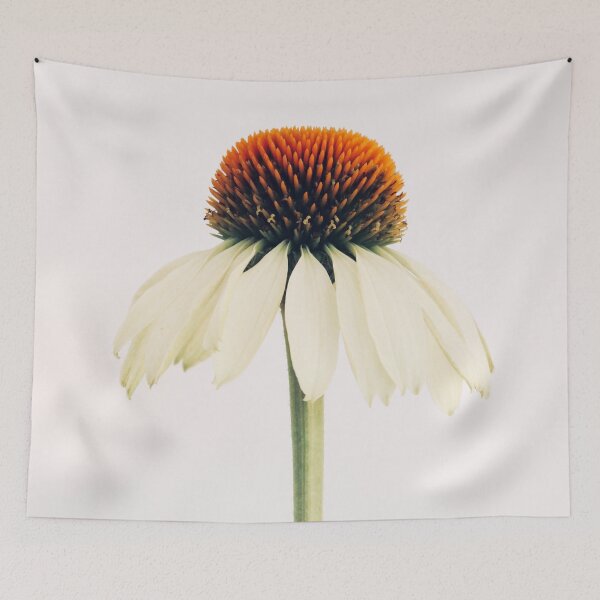 Item preview, Echinacea designed and sold by wallflowernz.
