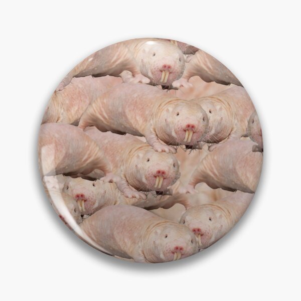Item preview, Search image: Find the naked mole rat. designed and sold by ubaDesigns.