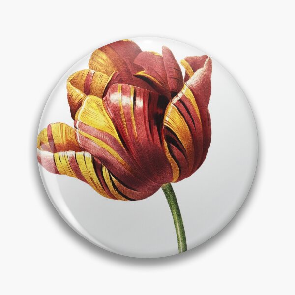 Item preview, Big Tulip Vibrant Flower Vintage Retro Art Botanical Illustration designed and sold by HumanlineImages.