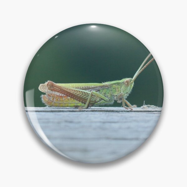 Item preview, Heather grasshopper designed and sold by NW-Photo-Art.