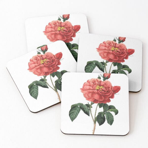 Item preview, Duchess of Orleans French Rose Flower Vintage Retro Art Botanical Illustration designed and sold by HumanlineImages.