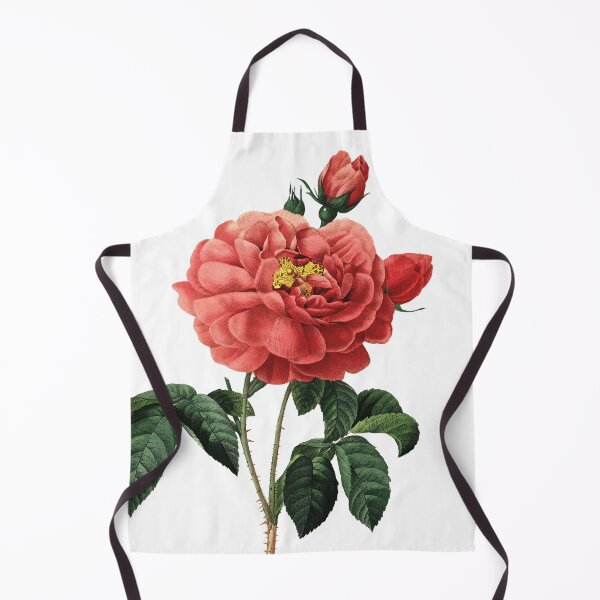 Item preview, Duchess of Orleans French Rose Flower Vintage Retro Art Botanical Illustration designed and sold by HumanlineImages.