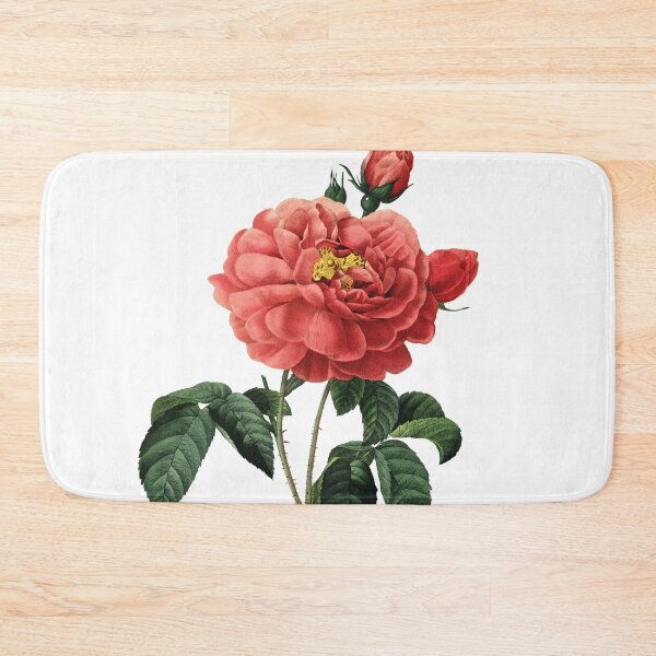 Item preview, Duchess of Orleans French Rose Flower Vintage Retro Art Botanical Illustration designed and sold by HumanlineImages.