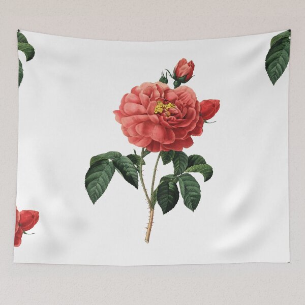 Item preview, Duchess of Orleans French Rose Flower Vintage Retro Art Botanical Illustration designed and sold by HumanlineImages.
