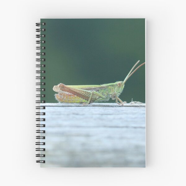 Item preview, Heather grasshopper designed and sold by NW-Photo-Art.