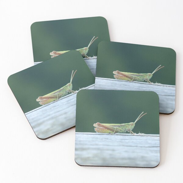 Item preview, Heather grasshopper designed and sold by NW-Photo-Art.