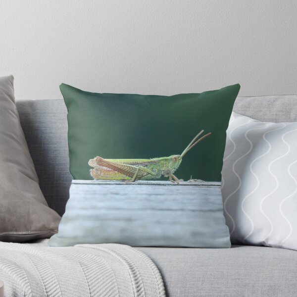 Item preview, Heather grasshopper designed and sold by NW-Photo-Art.
