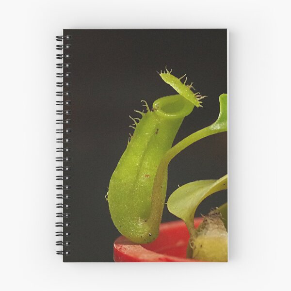 Item preview, Pitcher Plant designed and sold by Paul Chubb.