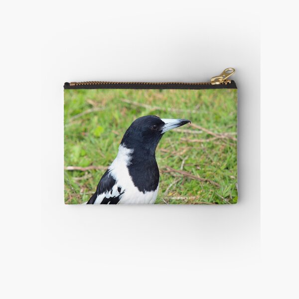 Item preview, Adult Pied Butcherbird designed and sold by W E NIXON  PHOTOGRAPHY.