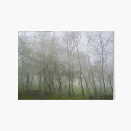 Foggy Forest Art Board Print