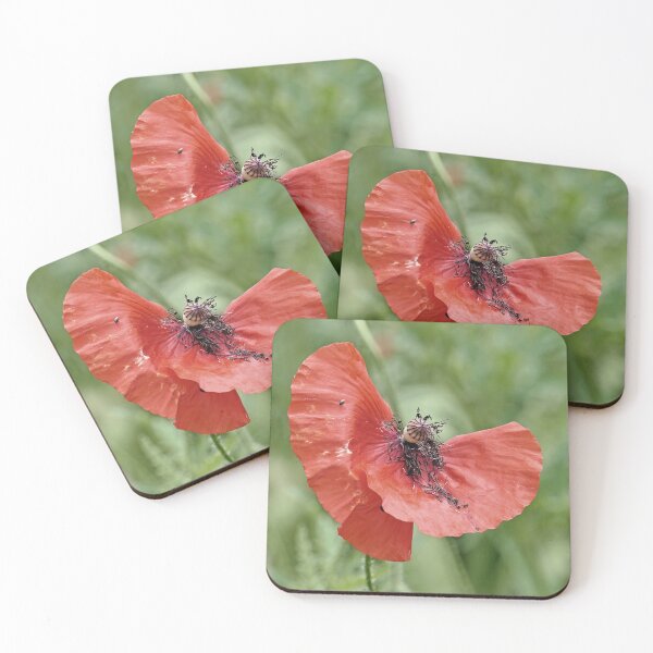 Item preview, r 2563/   8 "  un Coquelicot  comme un Cavalier à Cheval - a Poppy like a Rider on Horseback " par Okaio Créations   Olavia&Olao designed and sold by o.okaïo.