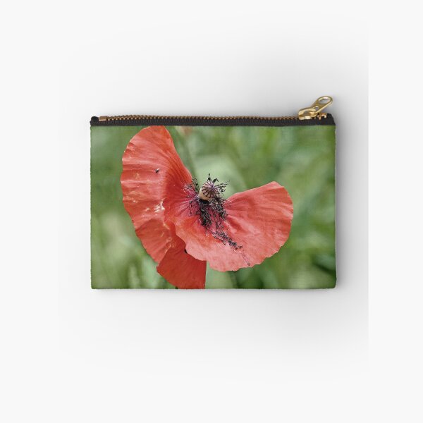 Item preview, r 2563/   8 "  un Coquelicot  comme un Cavalier à Cheval - a Poppy like a Rider on Horseback " par Okaio Créations   Olavia&Olao designed and sold by o.okaïo.