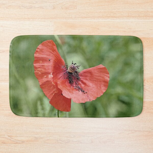 Aperçu de l'œuvre r 2563/ 8 " un Coquelicot comme un Cavalier à Cheval - a Poppy like a Rider on Horseback " par Okaio Créations Olavia&Olao créée et vendue par o.okaïo.
