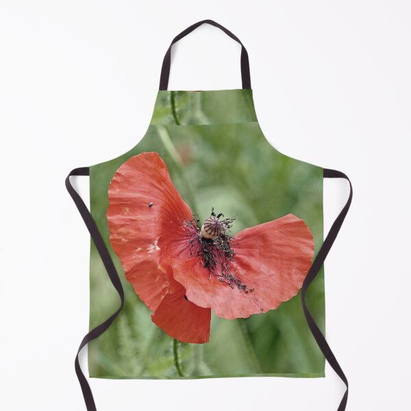 Item preview, r 2563/ 8 " un Coquelicot comme un Cavalier à Cheval - a Poppy like a Rider on Horseback " par Okaio Créations Olavia&Olao designed and sold by o.okaïo.