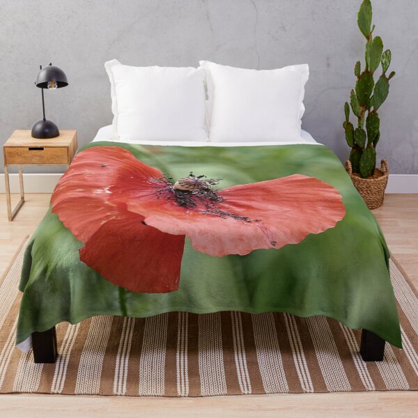 Item preview, r 2563/   8 "  un Coquelicot  comme un Cavalier à Cheval - a Poppy like a Rider on Horseback " par Okaio Créations   Olavia&Olao designed and sold by o.okaïo.