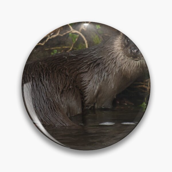 Item preview, Otter Cub on riverbank watching mother fish. designed and sold by RobinDHunter.
