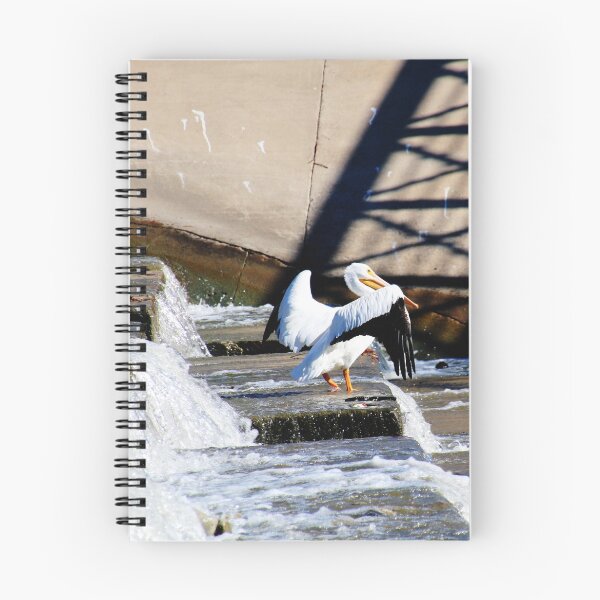 Item preview, White Rock Lake Dallas Texas Pelicans on Spillway designed and sold by Lorri Crossno Nevil.