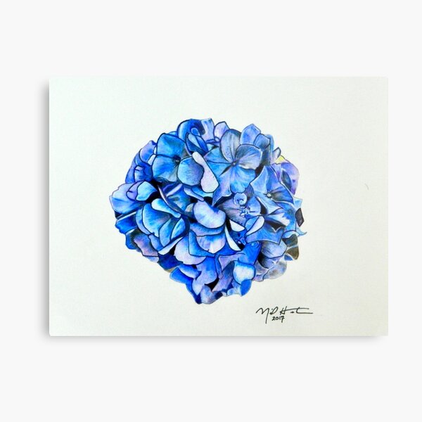 Item preview, Hydrangea In Bloom designed and sold by Neil Horton.