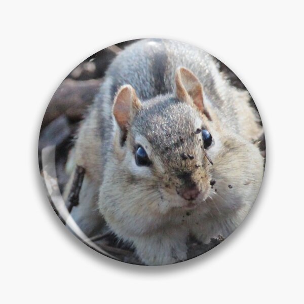 Item preview, Dirty Face Chipmunk designed and sold by Susie Kramer.
