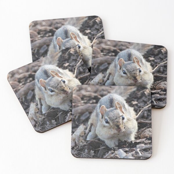 Item preview, Dirty Face Chipmunk designed and sold by Susie Kramer.