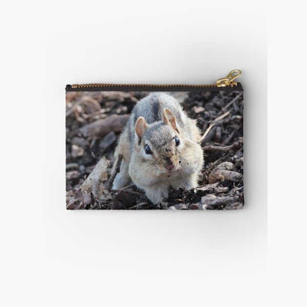 Item preview, Dirty Face Chipmunk designed and sold by Susie Kramer.
