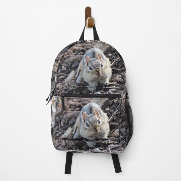 Item preview, Dirty Face Chipmunk designed and sold by Susie Kramer.