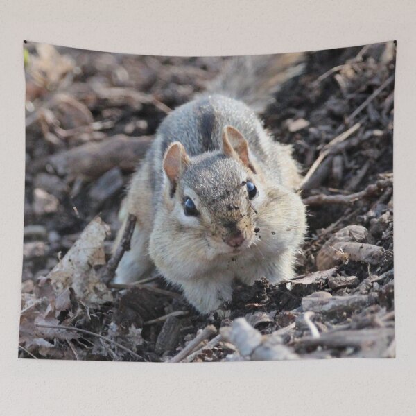Item preview, Dirty Face Chipmunk designed and sold by Susie Kramer.