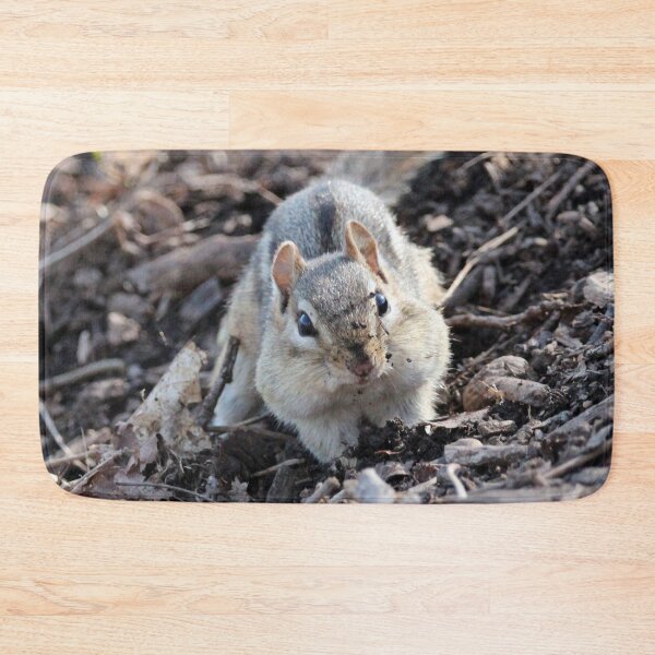 Item preview, Dirty Face Chipmunk designed and sold by Susie Kramer.