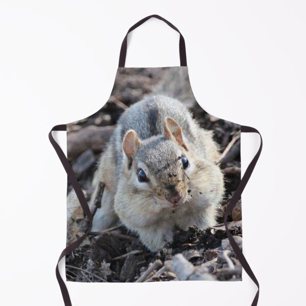 Item preview, Dirty Face Chipmunk designed and sold by Susie Kramer.