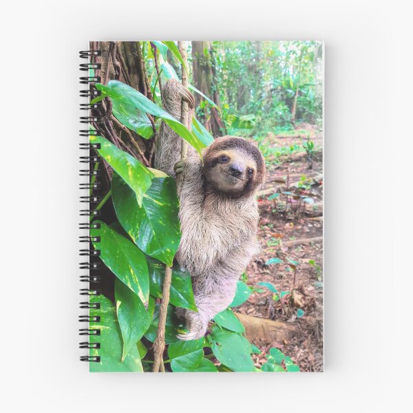 Item preview, Baby, sloth, jungle, rainforest, Pura Vida, Costa Rica, cute sloths designed and sold by boom-art.