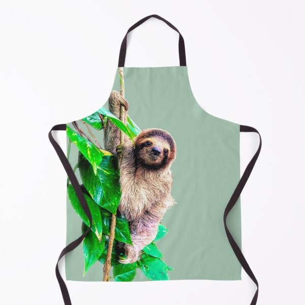 Item preview, Baby, sloth, jungle, rainforest, Pura Vida, Costa Rica, cute sloths designed and sold by boom-art.