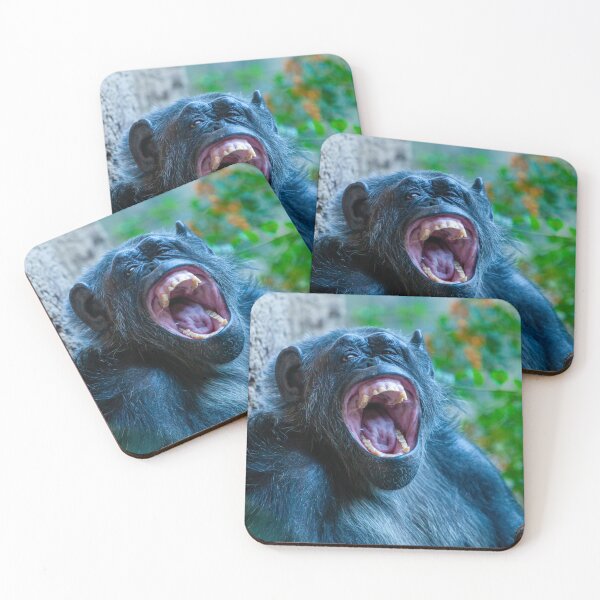 Item preview, You Said What to Who! designed and sold by Dalyndigital Photography.