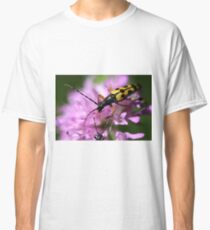 Candyland Classic T-Shirt
