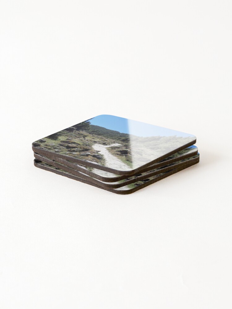 Thumbnail 4 of 5, Coasters (Set of 4), Path between pines designed and sold by RomaBimontD.