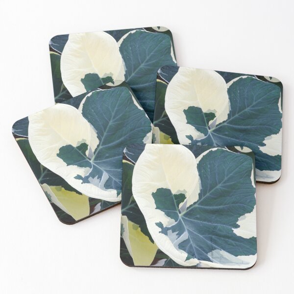 Item preview, Variegated Delight designed and sold by Kerryn Madsen-Pietsch.