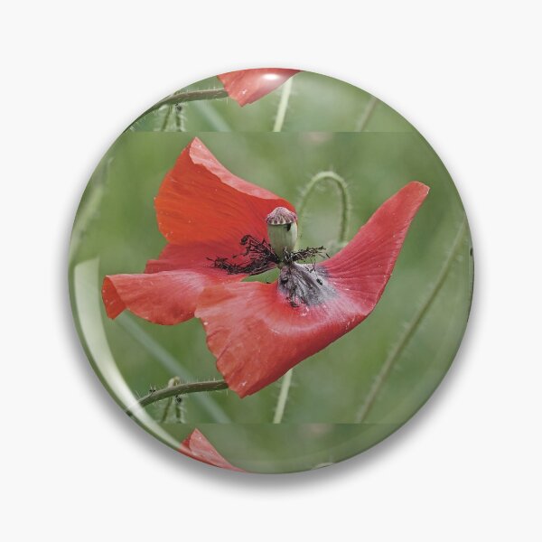 Item preview, r 2564/   9 "  un Coquelicot  comme sur un Bateau célébre à la prou ! " Je suis le Roi du monde et au delà... "  par Okaio Créations   Olavia&Olao designed and sold by o.okaïo.