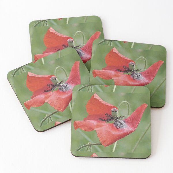 Item preview, r 2564/   9 "  un Coquelicot  comme sur un Bateau célébre à la prou ! " Je suis le Roi du monde et au delà... "  par Okaio Créations   Olavia&Olao designed and sold by o.okaïo.