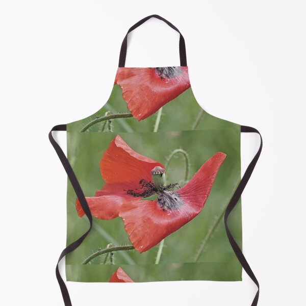 Item preview, r 2564/ 9 " un Coquelicot comme sur un Bateau célébre à la prou ! " Je suis le Roi du monde et au delà... " par Okaio Créations Olavia&Olao designed and sold by o.okaïo.