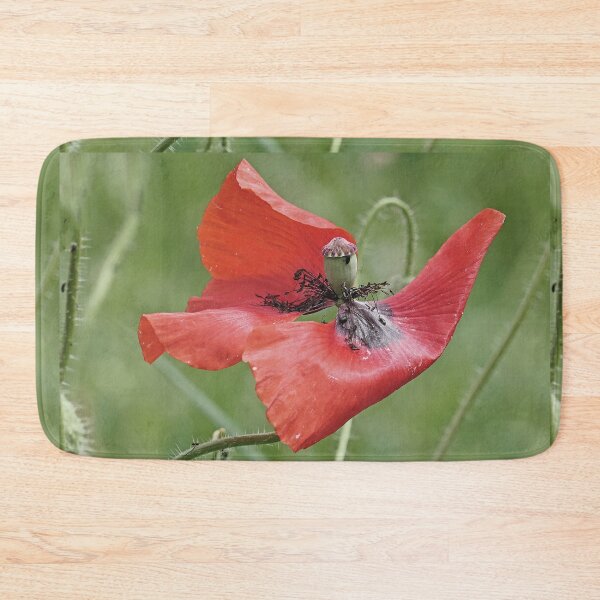 Item preview, r 2564/   9 "  un Coquelicot  comme sur un Bateau célébre à la prou ! " Je suis le Roi du monde et au delà... "  par Okaio Créations   Olavia&Olao designed and sold by o.okaïo.