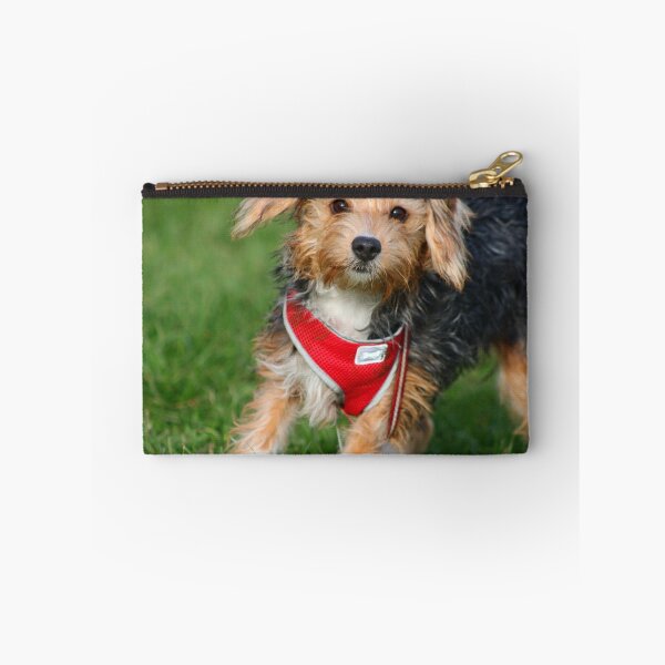 Item preview, Puppy in the park designed and sold by GreyFeatherPhot.