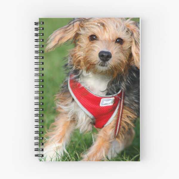Item preview, Puppy in the park designed and sold by GreyFeatherPhot.